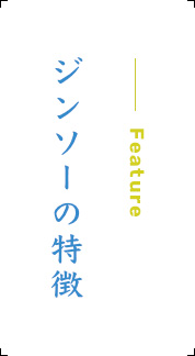 ジンソーの特徴